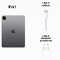 картинка Apple iPad Pro 11 M2 (2022) 256GB Wi-Fi+Cellular (Серый космос) от Дисконт "Революция цен"